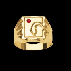 Bijoux Créoles