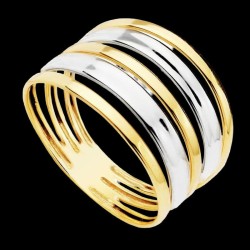 Bijoux Créoles