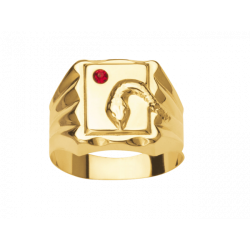 Bijoux Créoles