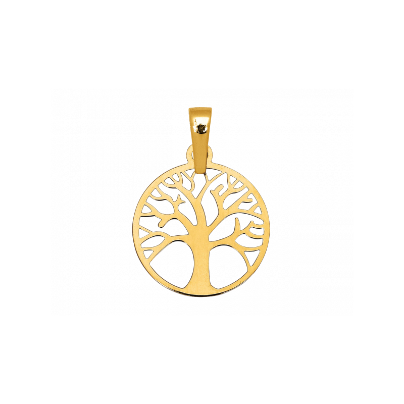 Bijoux Créoles