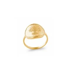 bijoux antillais